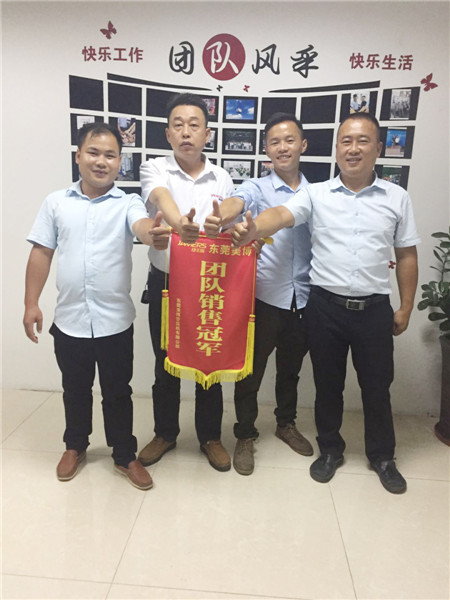 团队销售冠军奖